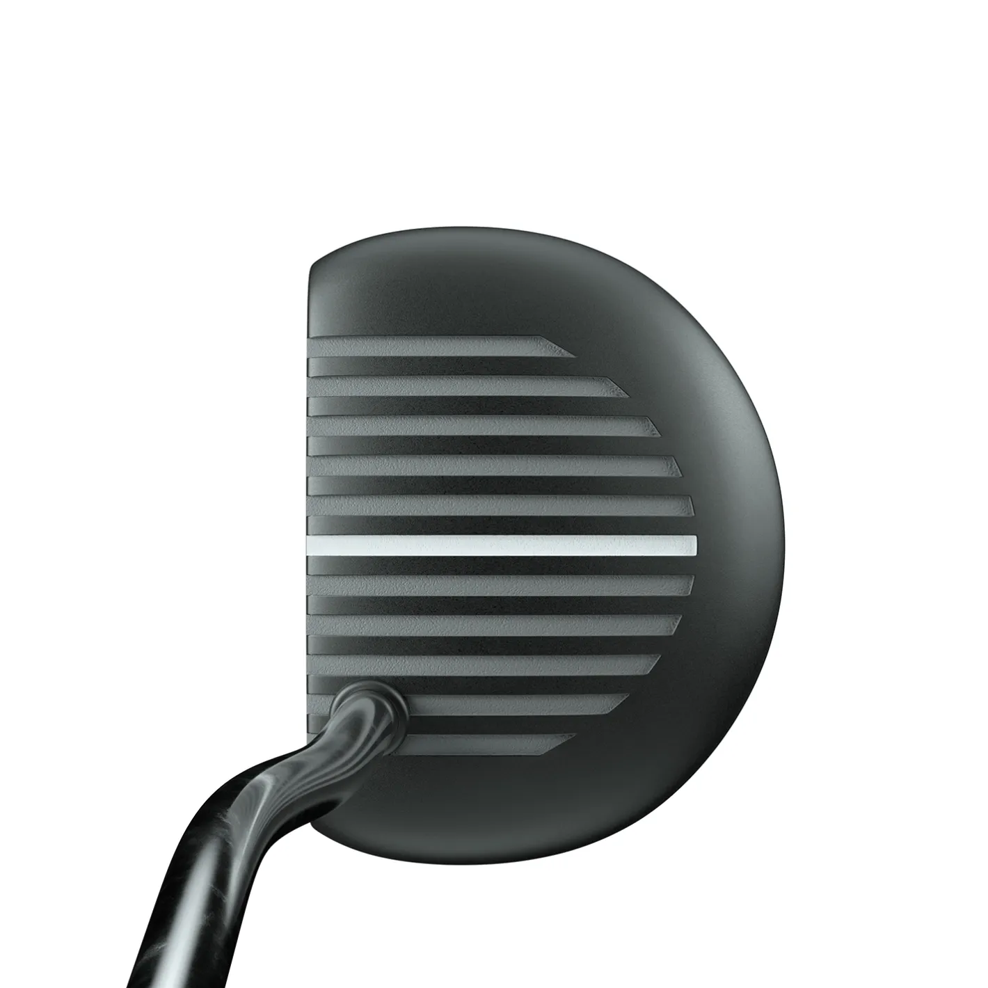 Zebra Alt1 Discount