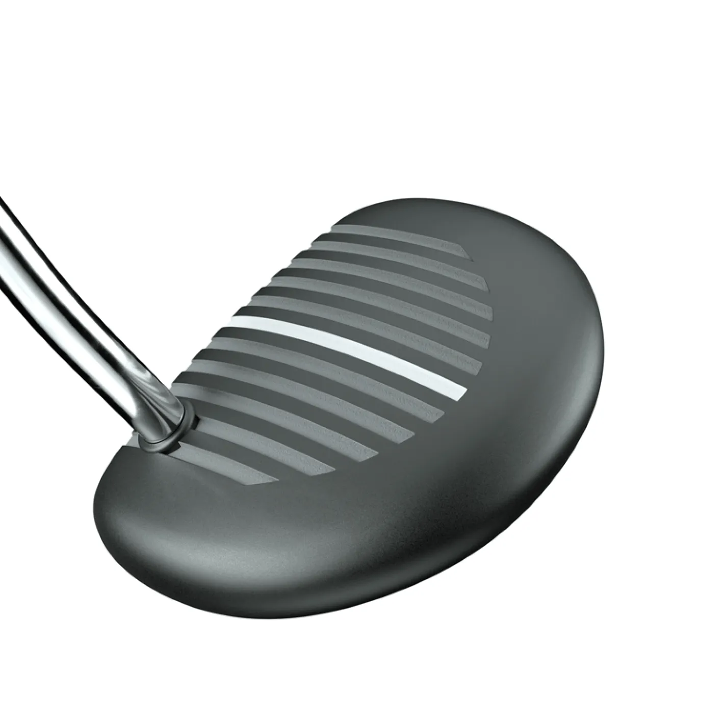 Zebra Alt1 Discount