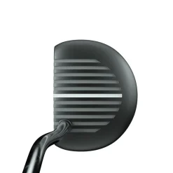 Zebra Alt1 Discount