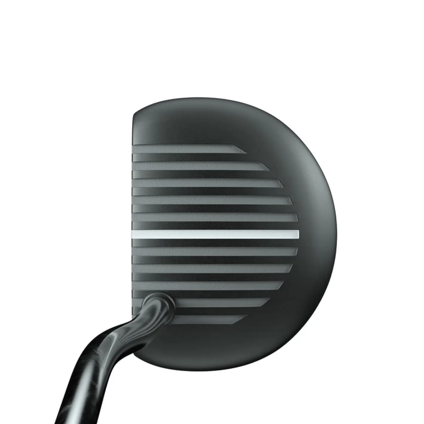 Zebra Alt1 Discount