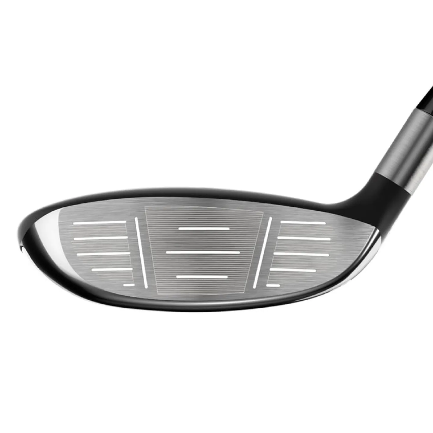 Callaway Rogue St Max 24 Sale