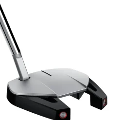 TaylorMade Spider GT Silver Small Slant Hot