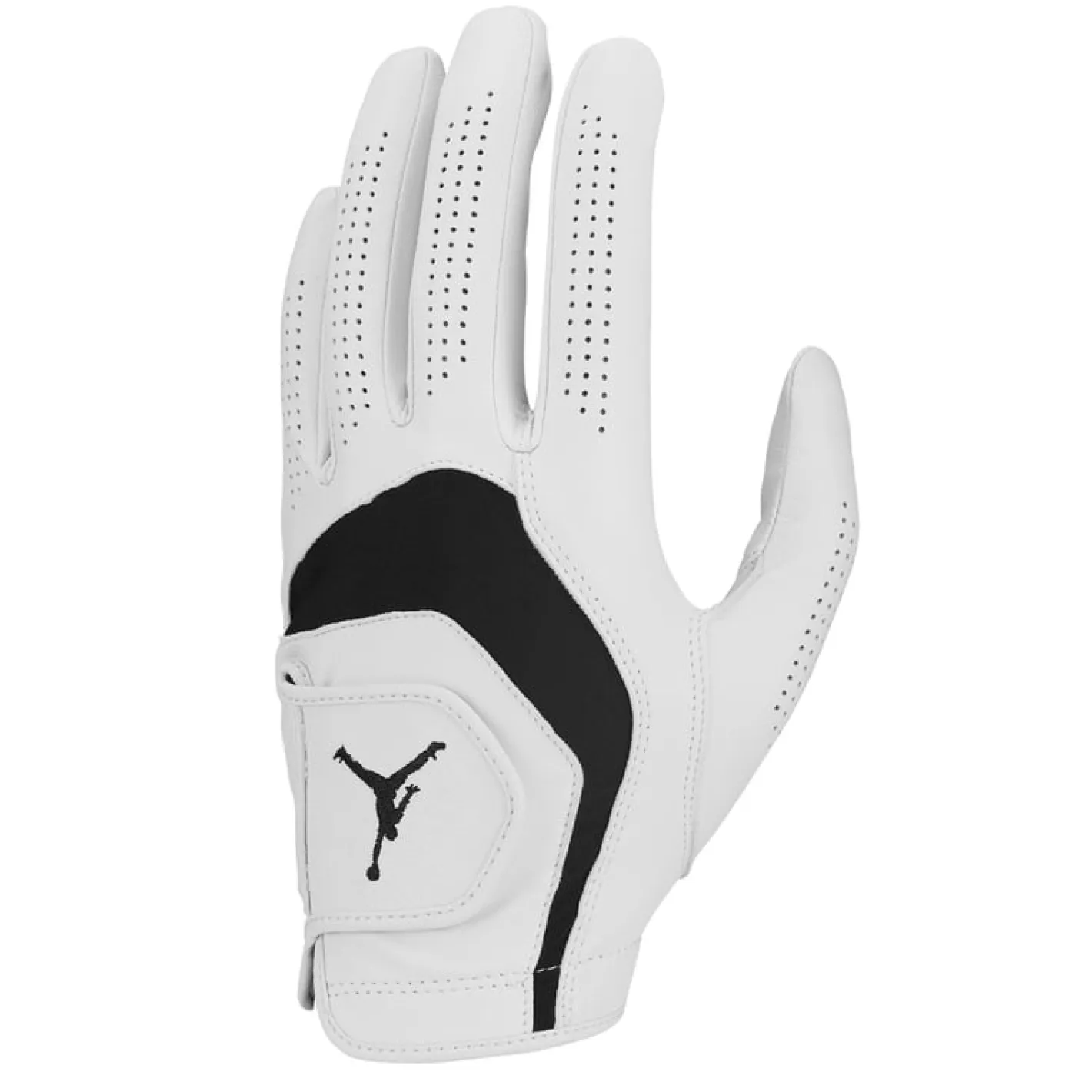 Jordan Tour Golf Glove Men Best